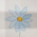 감성톡톡 캘리그라피 이미지