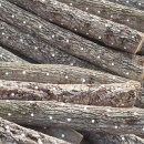 종규농장 이미지