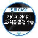 강동24시 SKY 동물의료센터 이미지