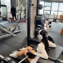 골든타임핏 이미지