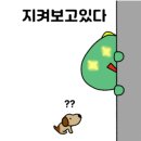 성모튼튼정형외과의원 네이버블로그