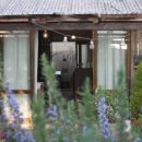 로즈마리숲 이미지