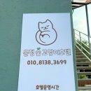 운정 숲 고양이호텔 | 파주 야당동 애견호텔 운정숲고양이호텔 비용 시간 위치