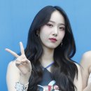 신비체육관 이미지