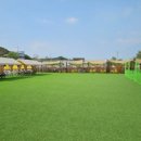 김포 애견호텔 애견유치원 꼬똥이네 이미지