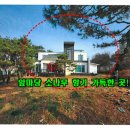 여주-0228 이미지