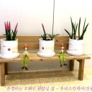 루비스킨케어 - 동구 번덕2길 36 | 루비스킨케어