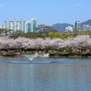 연지공원 이미지