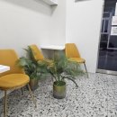 말티자동차종합검사소 이미지