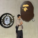 뉴그린 | 남자 운동화 추천! 뉴발란스 993 코버트 그린 내돈내산 솔직후기!