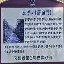 국립회문산자연휴양림 | 국립회문산 자연휴양림의 단풍 및 휴양관 원추리 숙박후기