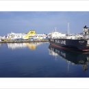 재천목장 | 제주한달살기 후기