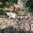 초장중학교 이미지