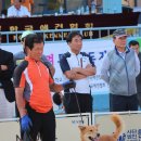 애견스케치 이미지