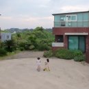 풍차 | 제주 한달살기 숙소 추천 | 구좌읍 한동리 독채 실거주 20일 솔직 후기