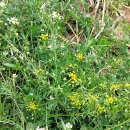 열네 번째 한강 도보(뚝섬한강공원과 서울숲) 후기 ＜1＞ 이미지