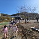 더멍스테이 네이버블로그