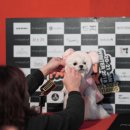 식도그락 이미지