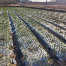 도원마을회관 이미지