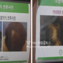 더블랙성형외과의원 이미지