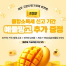 시즌제주
