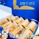 중앙대로226번길 | 부산 여행 기념품 추천 갈매기샌드 가격 맛 솔직 후기