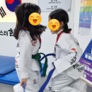 한국체대 마스터한 태권도 이미지