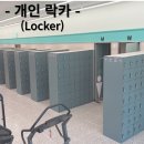 스파렉스 이미지