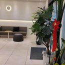 서울더플랜치과의원 이미지