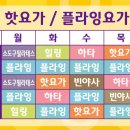 청주요가교실