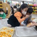 숲속초교 이미지