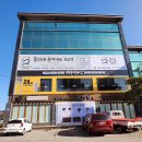 용인대 국가대표 유도장 이미지