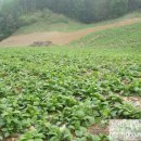 북동농원 이미지