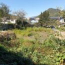 성황교2 이미지