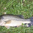 청도천3 이미지