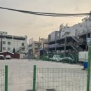 경남은행본점 앞 횡단보도 | 대전 성심당 본점 오픈런 성공! 신상 천혜향 타르트 티라미수 롤 후기