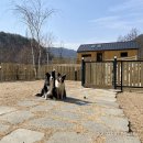 보리네민박(Borizzam_house) 이미지