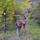 남매공원(들머리공원) 이미지