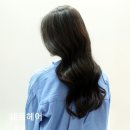 쉐르헤어 - 대덕구 | 쉐르헤어