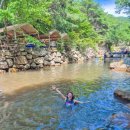 솔밭족구장화장실 | 양산 배내골 계곡 평상 대여 가능한 펜션 추천, 솔밭휴양림