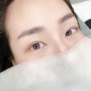 캣츠속눈썹
