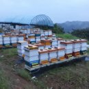 장명농장 이미지