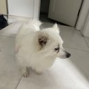 아이조아요양보호소 동탄점 이미지