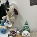 세렌아토