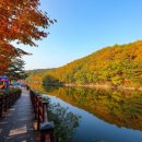 입곡군립공원(산림욕장) 이미지