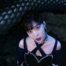 SAVAGE(새비지) 네이버블로그