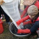 숲속의 하루민박 이미지