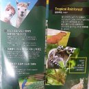 구두조형물 | 대구 근교 실내 동물원 네이처파크 아이랑 가볼만한 곳 입장료 할인 주차정보 꿀팁