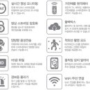 헬로멍멍