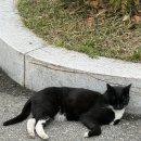 송곡도서관 | 4월정산: 19살의 나는 죽었다